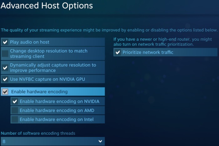 Screenshot Steam